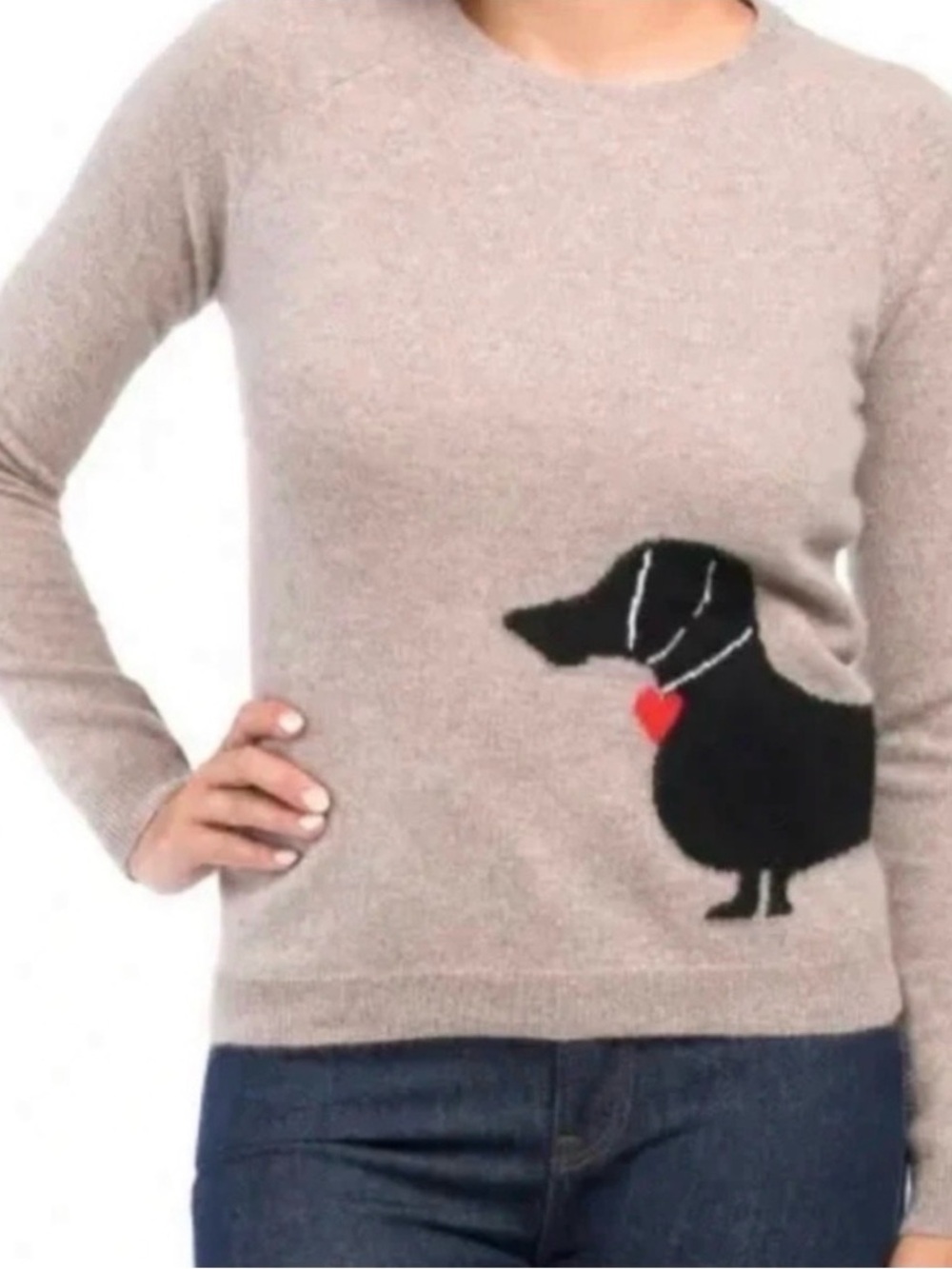 $259 MSRP NWOT 100% Cashmere Dachshund sweater size M